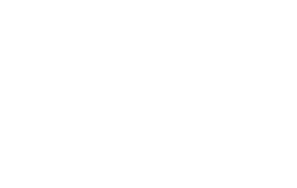 Sanjun Dev Logo - Full Stack Developer
